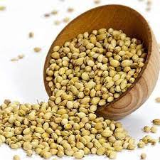 dry-coriander-seeds